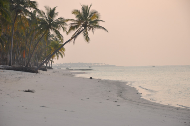 Discover Paradise: A Guide to the Best Things to Do in Lakshadweep