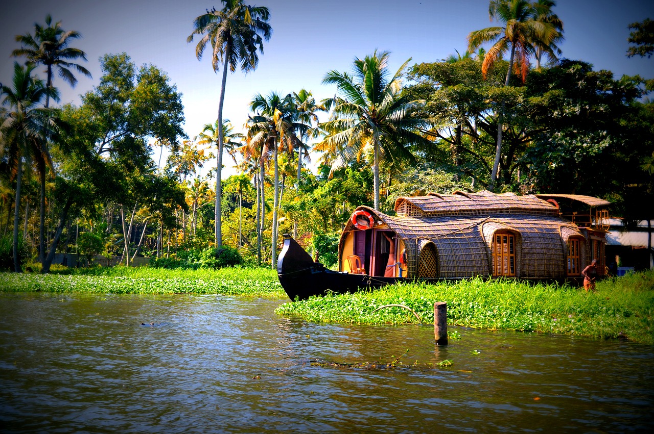 Top 8 Incredible Activities in Kerala, India - Houseboats, Hill Stations, Beaches & More!
