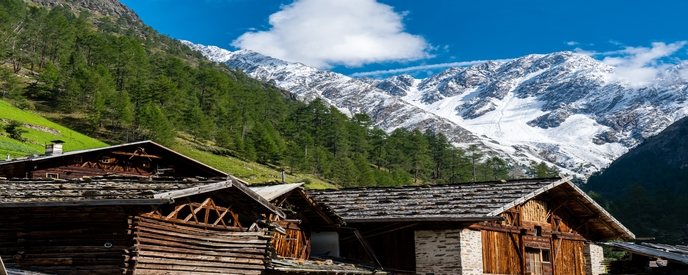 Discover the Best Time to Visit Auli for Your Next Vacation